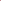 Biblia RVR60 025 cz PJR Primor Rosa/fúcsia Mariquita