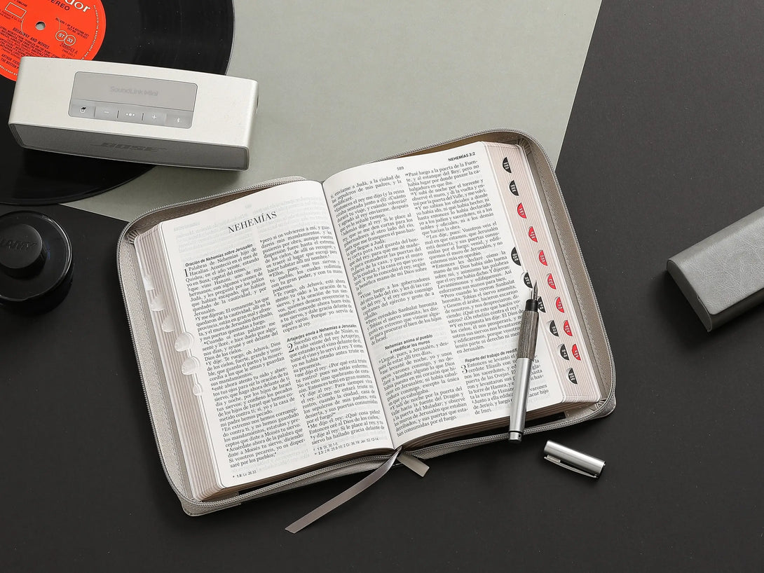 Biblia RVR065LG czti PJR Inspiración León Negro/gris/gris