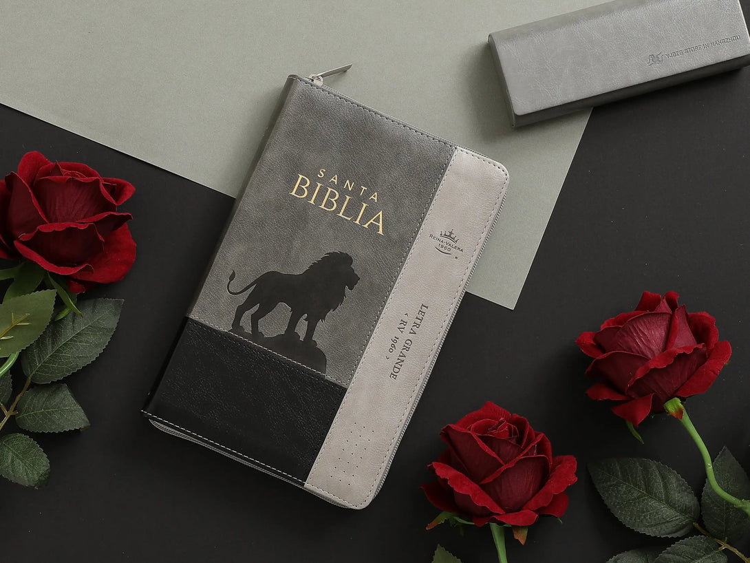 Biblia RVR065LG czti PJR Inspiración León Negro/gris/gris