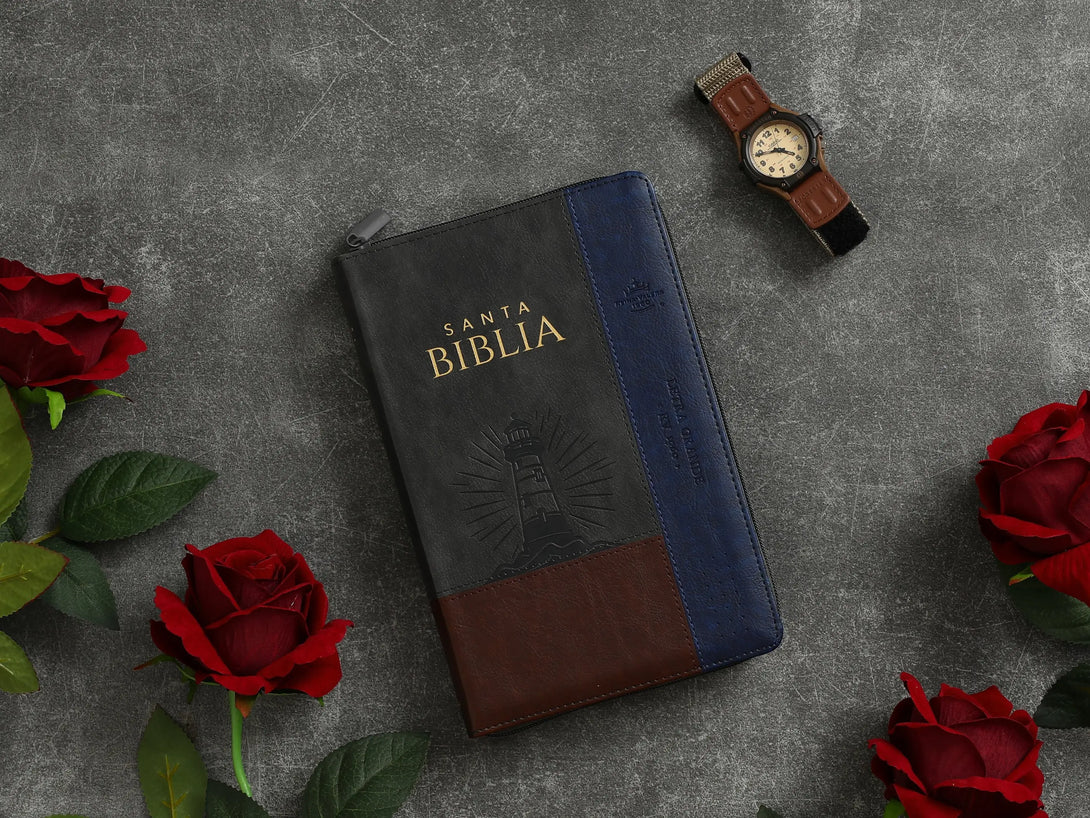 Biblia RVR065LG czti PJR Inspiración Marrón/Gris/Azul
