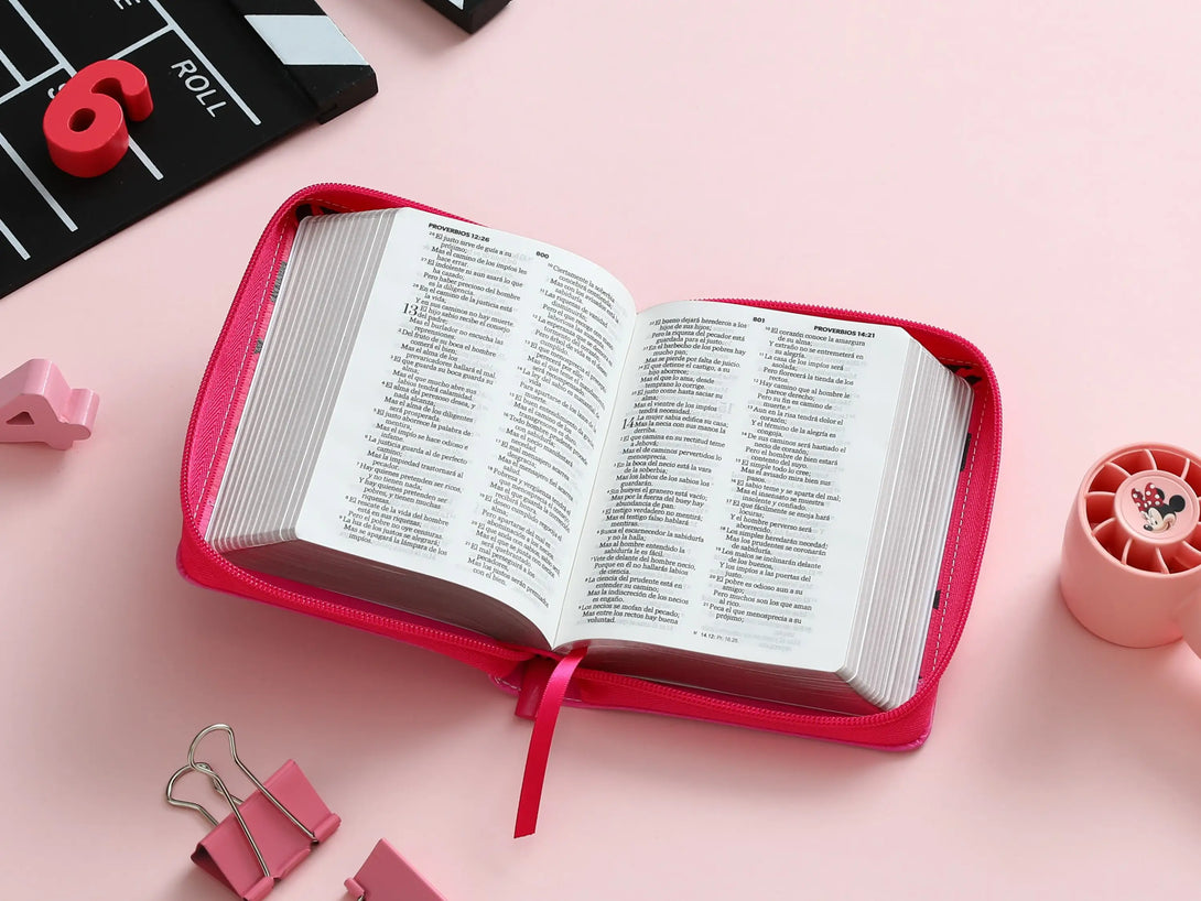Biblia RVR60 025 cz PJR Primor Rosa/fúcsia Mariquita