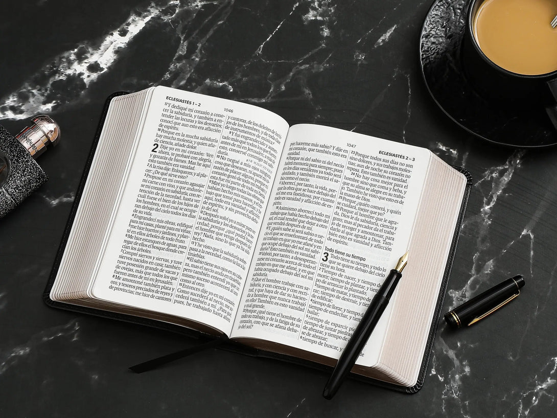Biblia RVR60 035c PJR frame negro/gris - Biblias