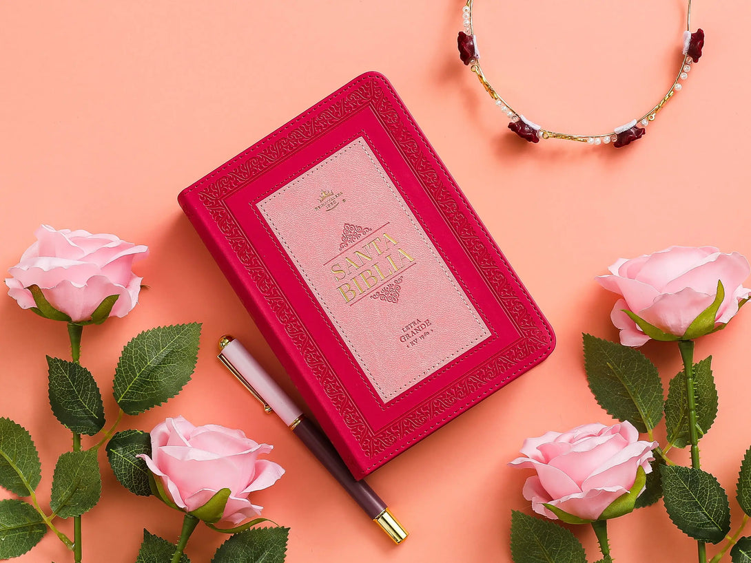 Biblia RVR60 035c PJR frame rosa/rosa - Biblias