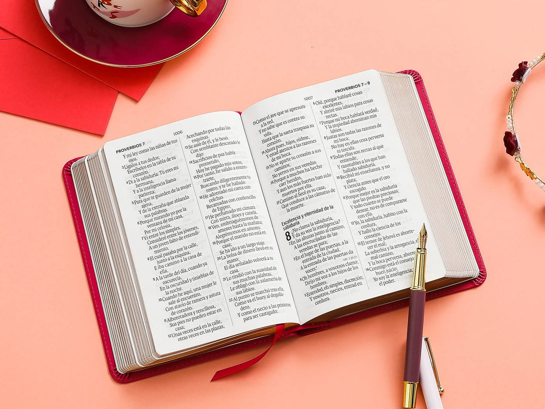 Biblia RVR60 035c PJR frame rosa/rosa - Biblias