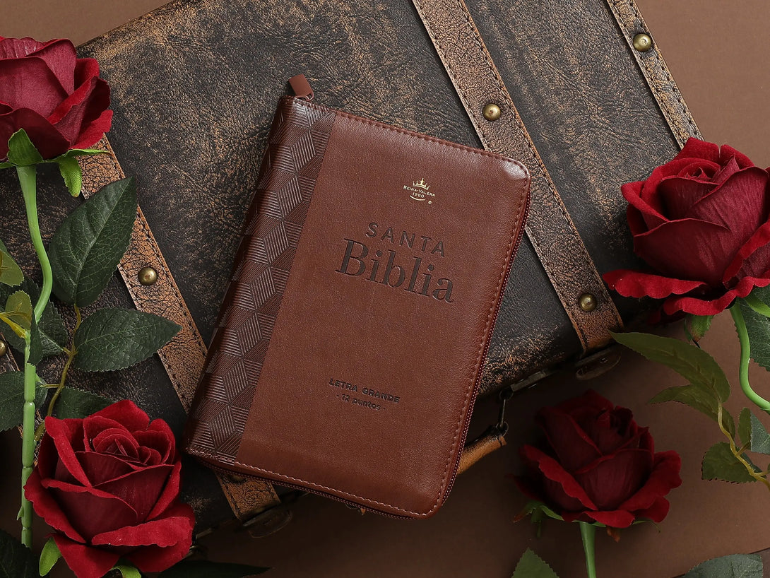 Biblia RVR60 035cz PJR i/piel café geométrico - Biblias