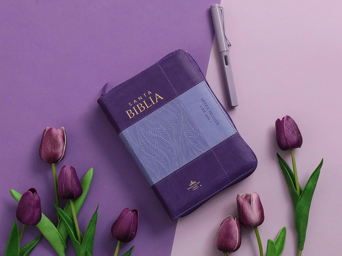 Biblia RVR60 035czti PJR i/piel bicolor lila/lila - Biblias