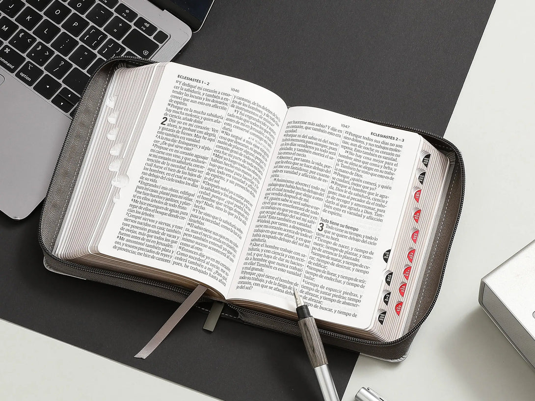 Biblia RVR60 035czti PJR i/piel tricolor gris/gris/gris