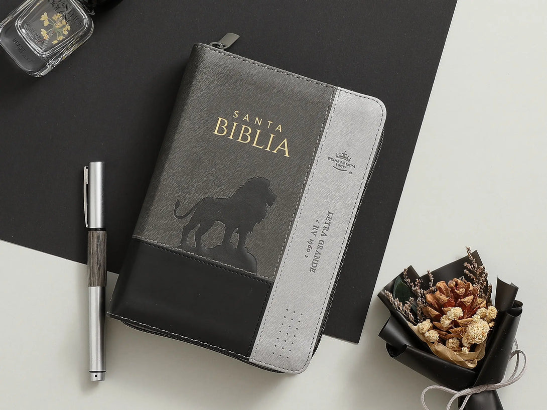 Biblia RVR60 035czti PJR i/piel tricolor gris/gris/gris