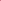 Biblia RVR60 045cz PJR 10 pts Fucsia con hojas primaverales