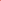 Biblia RVR60 045cz PJR 10 pts Fucsia con hojas primaverales