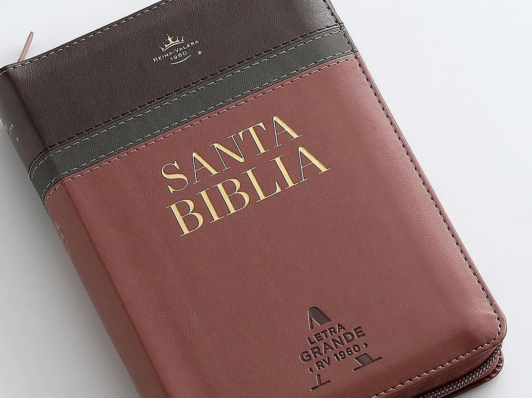 Biblia RVR60 045cz PJR 10 pts Tricolor café/negro/café