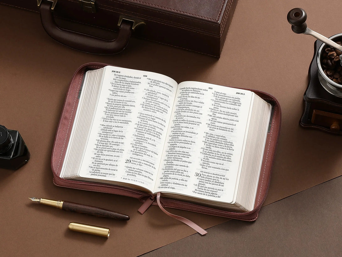 Biblia RVR60 045cz PJR 10 pts Tricolor café/negro/café