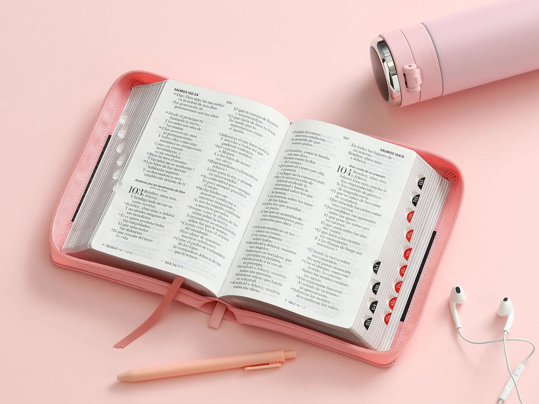 Biblia RVR60 045czti LG PJR Classic ABBA rosa/cafÃ©