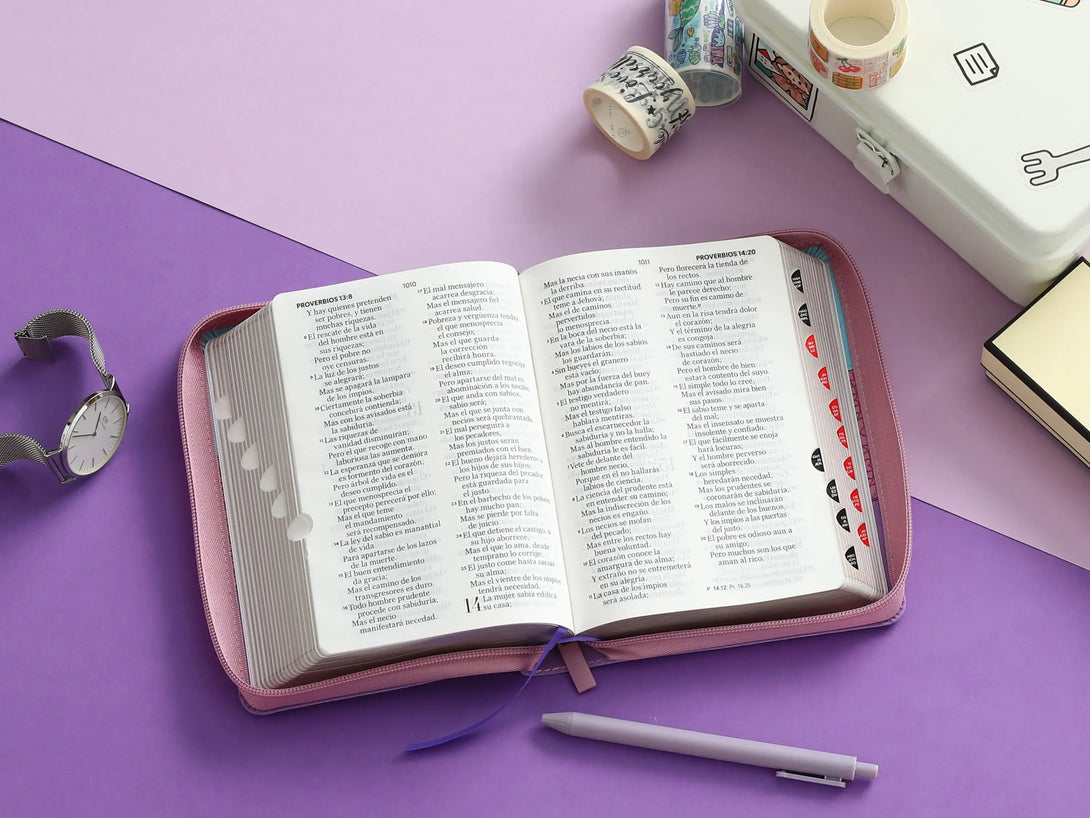 Biblia RVR60 045czti LG PJR Tricolor Azul/rosa/lila