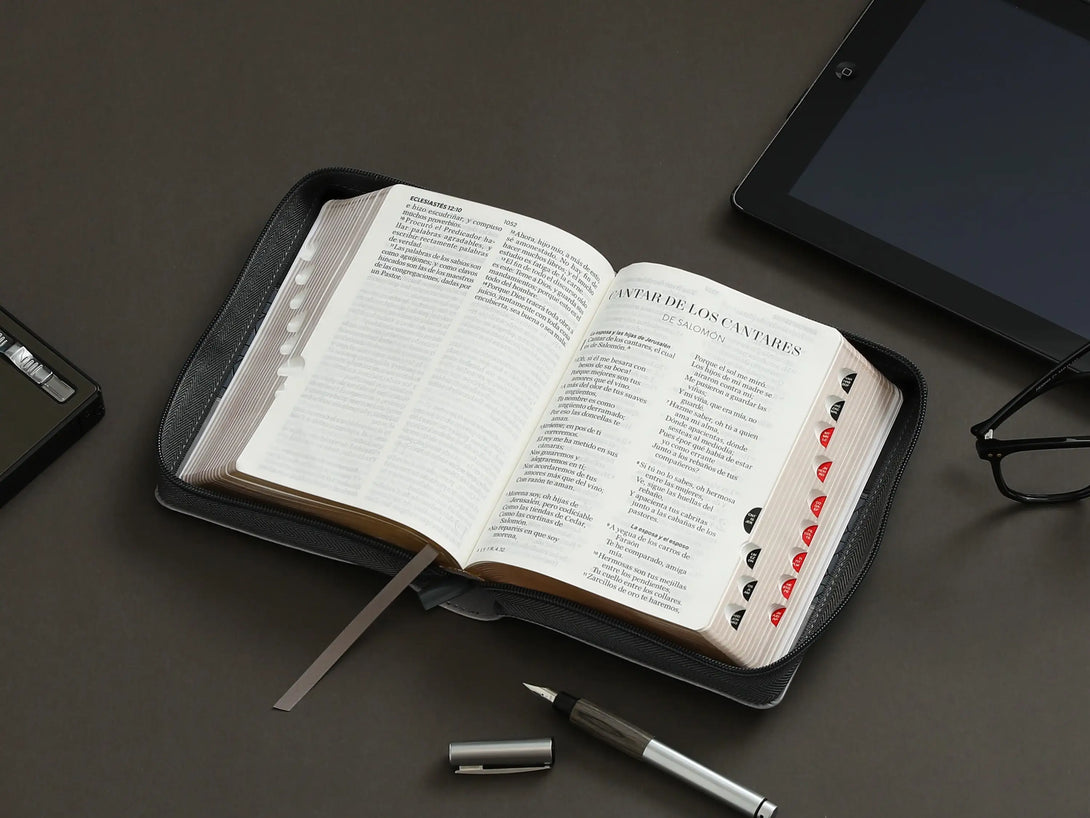 Biblia RVR60 045czti LG PJR Tricolor Negro/Gris/Gris
