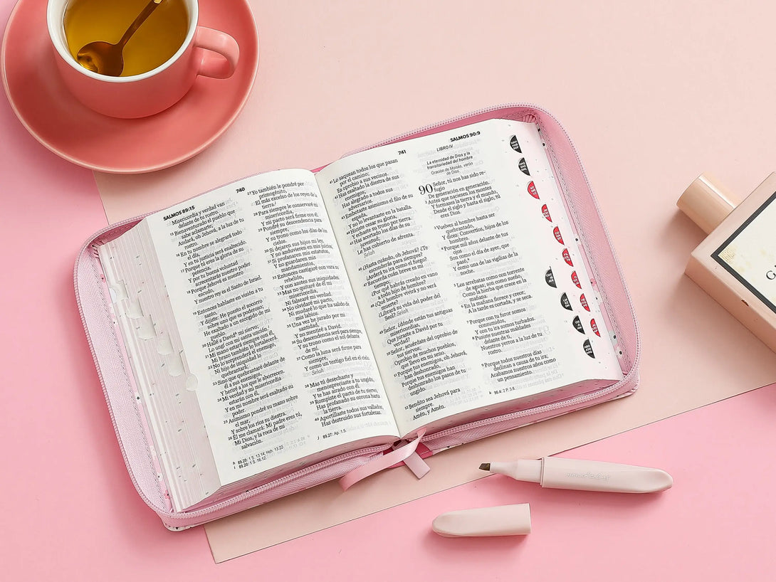 Biblia RVR60 045czti PJR 10 pts Mariposas y flores rosa