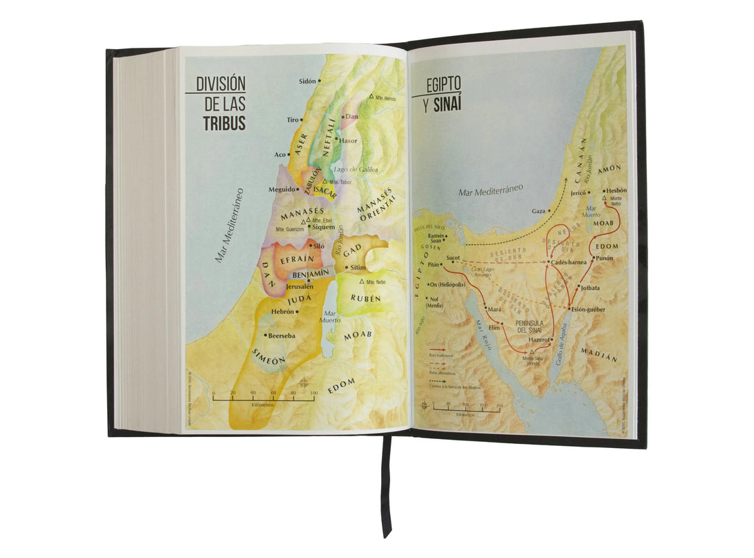 Biblia RVR60 062c LG PJR F flex leon - Biblias