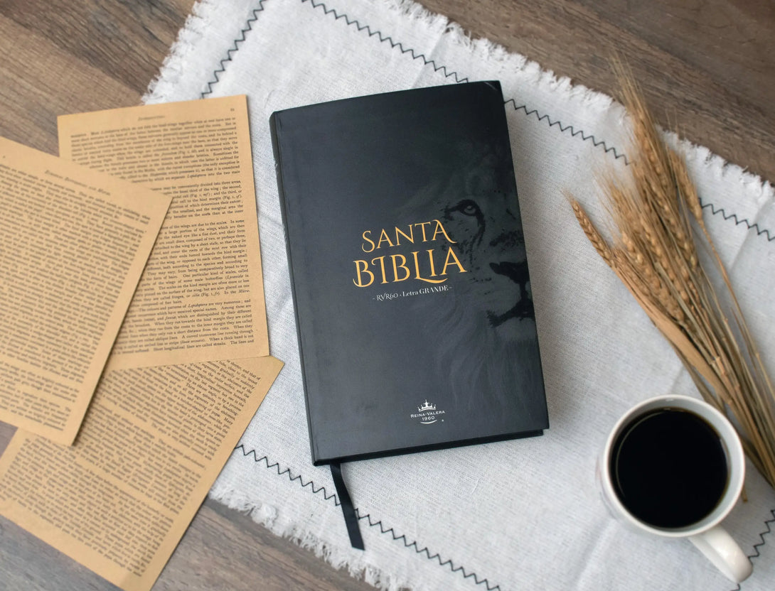 Biblia RVR60 062c LG PJR F flex leon - Biblias
