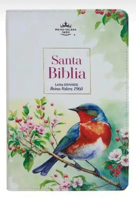 Biblia RVR60 065LG c Supreme PÃ¡jaro vintage - Biblias