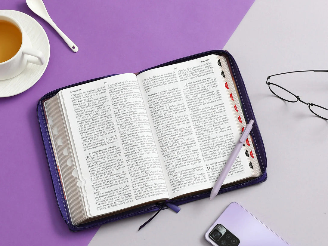 Biblia RVR60 065LG czti Tricolor FantasÃ­a