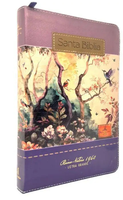 Biblia RVR60 065LG czti Tricolor FantasÃ­a