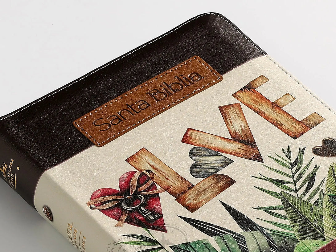 Biblia RVR60 065LG czti Tricolor FantasÃ­a