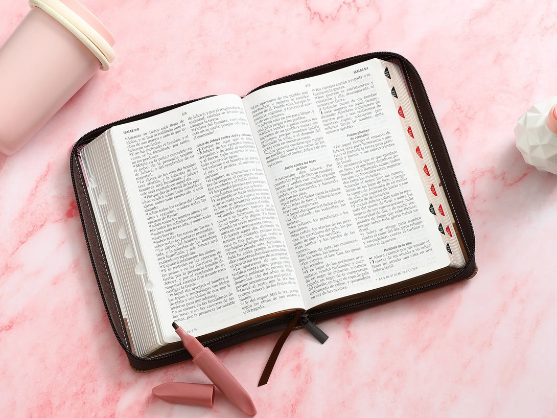 Biblia RVR60 065LG czti Tricolor FantasÃ­a