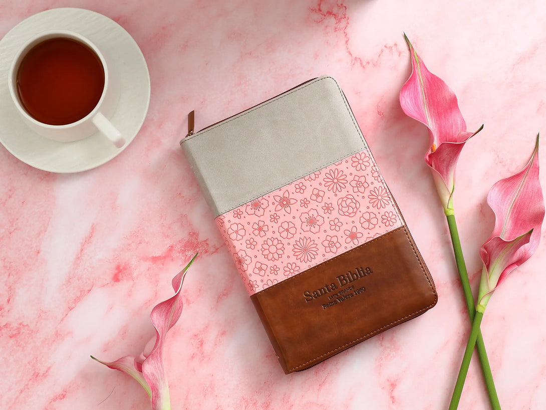 Biblia RVR60 065LG czti Tricolor Gris/Rosa/marrÃ³n - Biblias