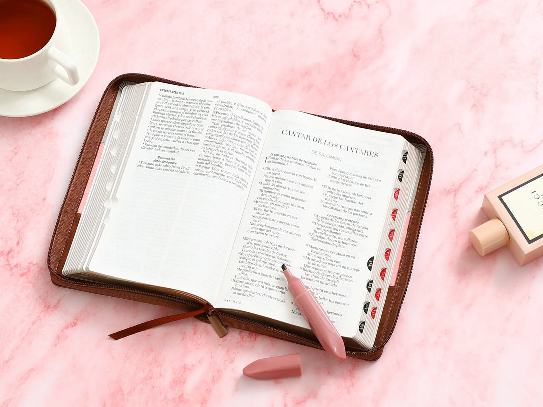 Biblia RVR60 065LG czti Tricolor Gris/Rosa/marrÃ³n - Biblias