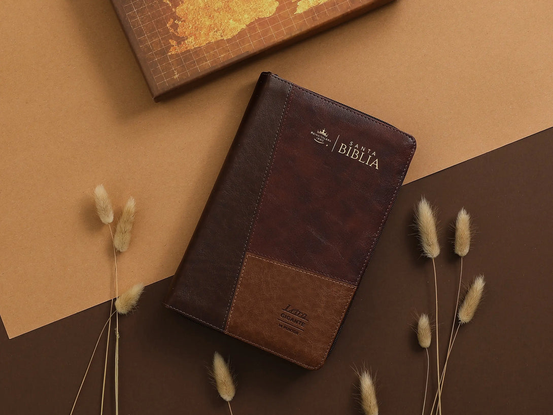 Biblia RVR60 068 czti ColecciÃ³n Iconic cafÃ©/cafÃ©/cafÃ©
