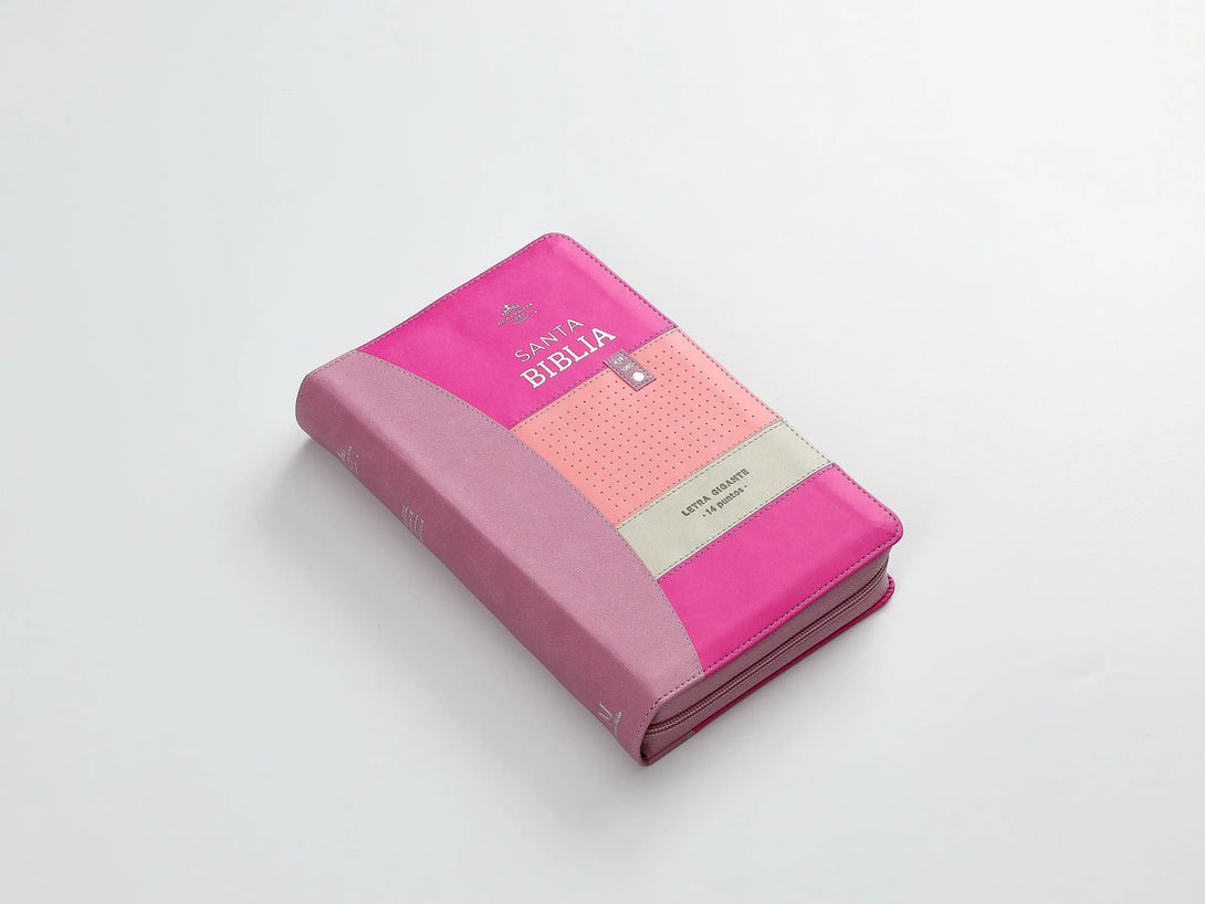 Biblia RVR60 068 czti ColecciÃ³n Iconic Lila/rosa/morado