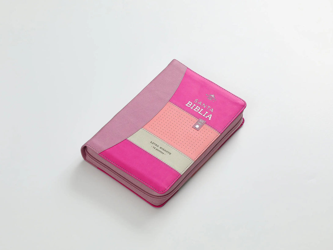 Biblia RVR60 068 czti ColecciÃ³n Iconic Lila/rosa/morado