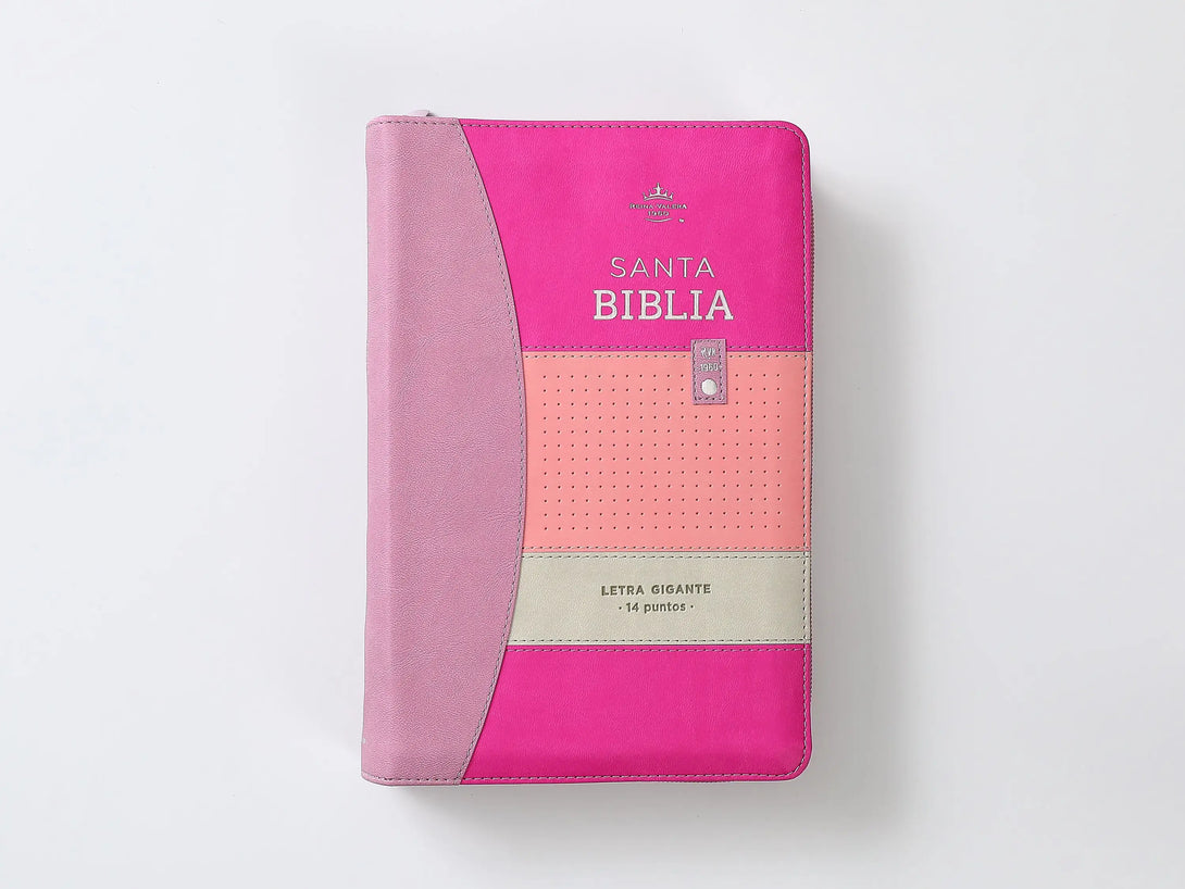 Biblia RVR60 068 czti ColecciÃ³n Iconic Lila/rosa/morado