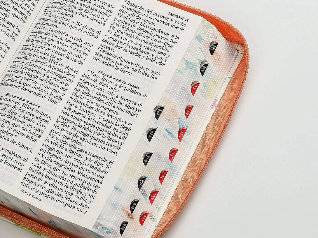 Biblia RVR60 068czti PJR CP jardín Coral - Biblias