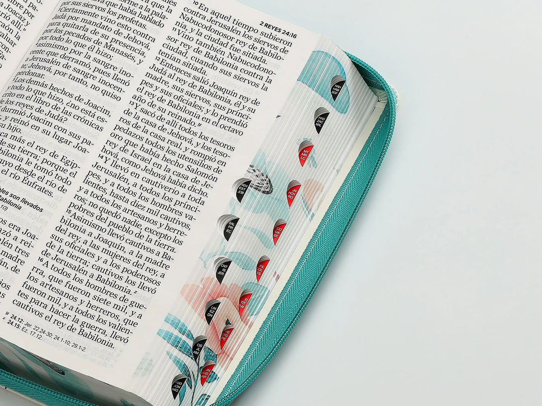 Biblia RVR60 068czti PJR CP jardín turquesa - Biblias