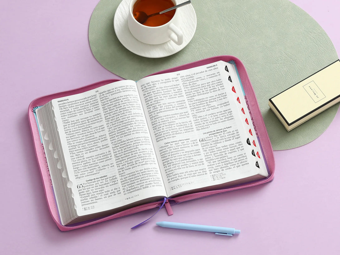 Biblia RVR60 085czti LGi PJR Tricolor azul/rosa/lila
