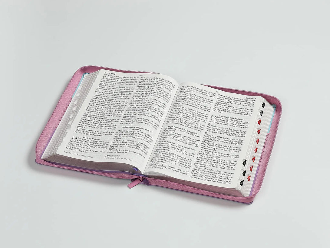 Biblia RVR60 085czti LGi PJR Tricolor azul/rosa/lila