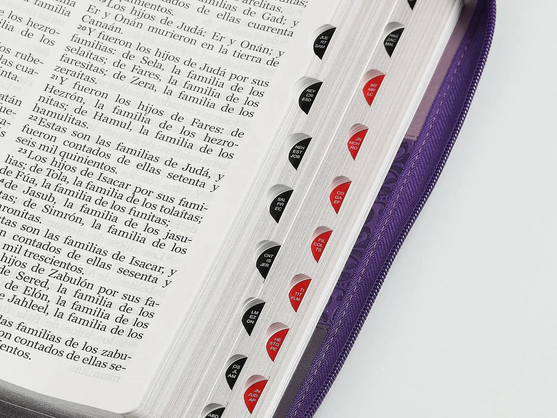 Biblia RVR60 085czti LGi PJR Tricolor lila/morado/negro