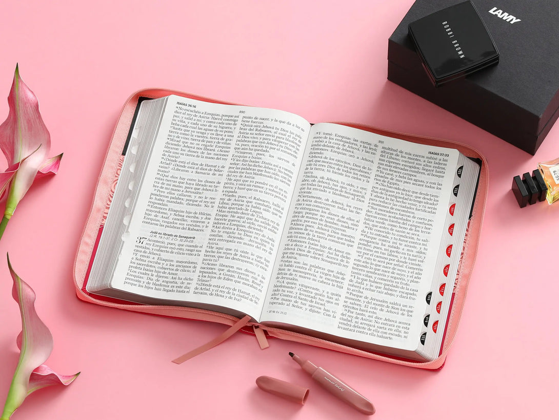 Biblia RVR60 085czti LGi PJR Tricolor Negro/Rosa/Fucsia