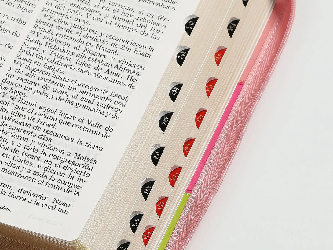 Biblia RVR60 085czti LGi PJR Tricolor rosa/fucsia/lima