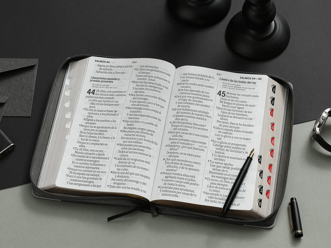 Biblia RVR60 088czti LSGi Inspiración León Negro/Gris