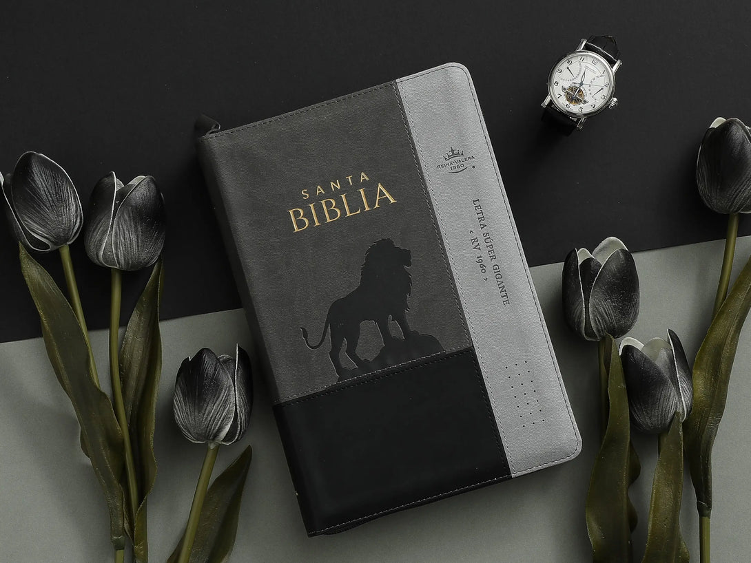 Biblia RVR60 088czti LSGi Inspiración León Negro/Gris