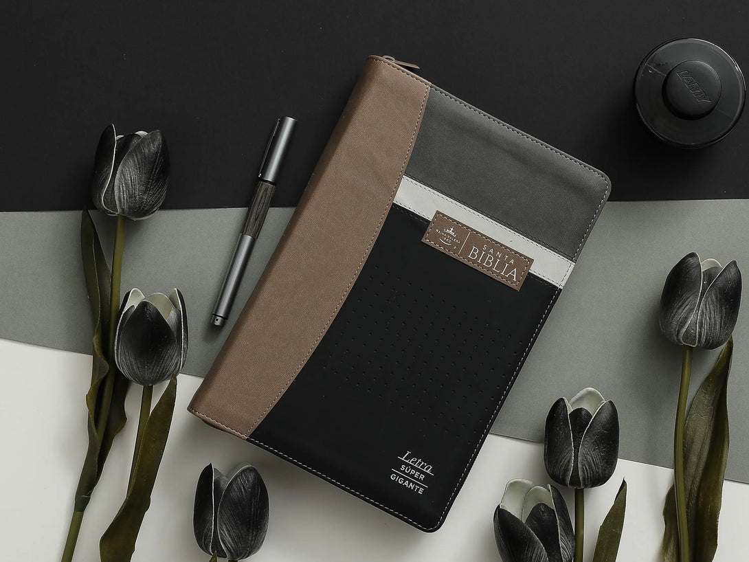 Biblia RVR60 088czti LSGi Tech Dot Negro/café/Beige