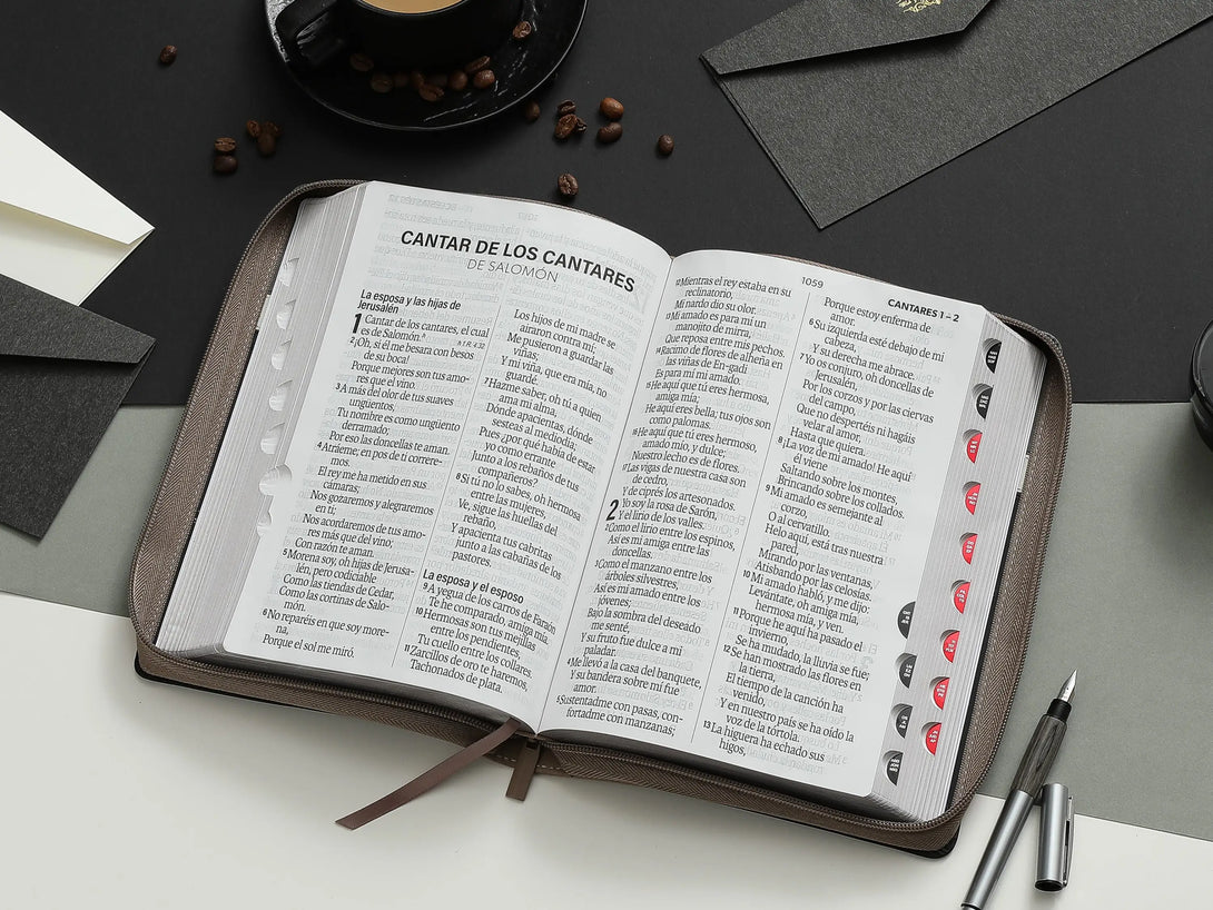 Biblia RVR60 088czti LSGi Tech Dot Negro/café/Beige