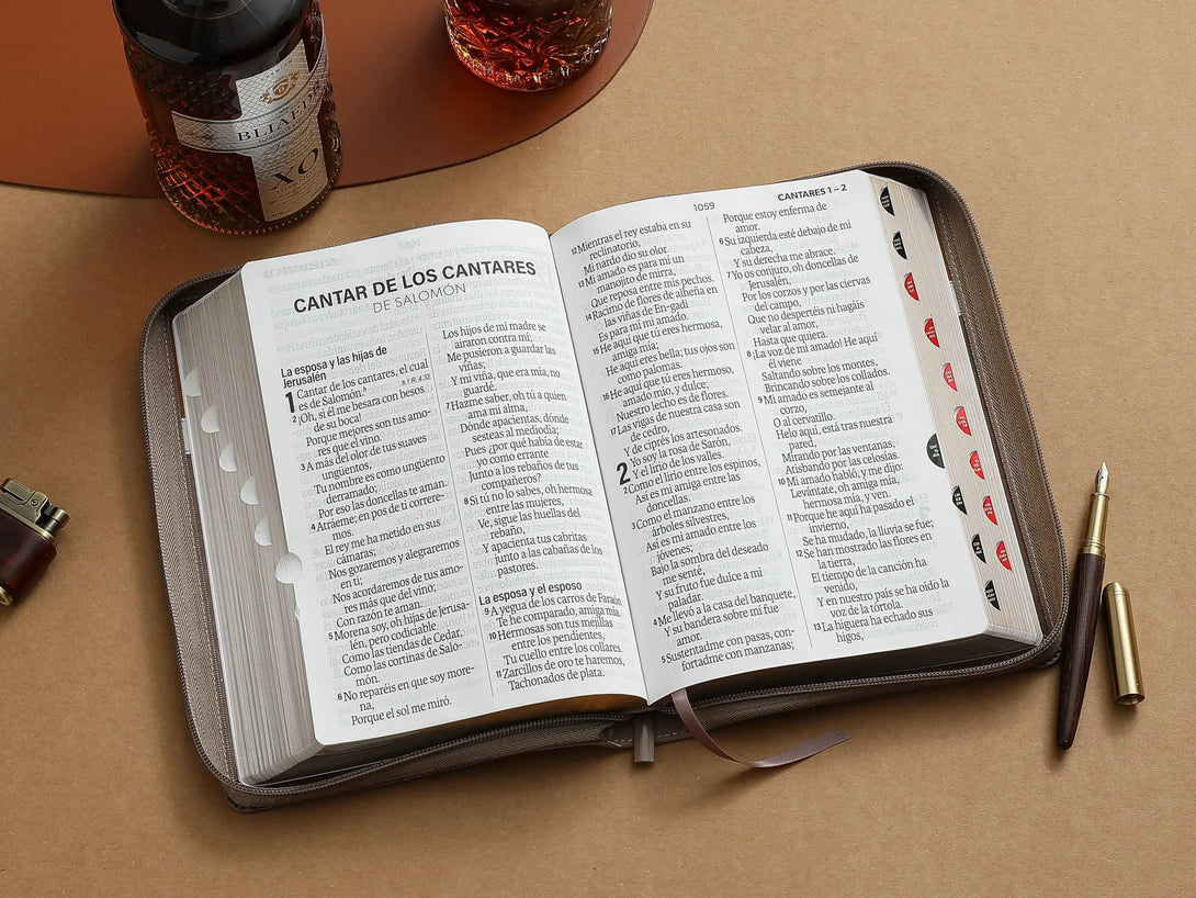 Biblia RVR60 088czti LSGi Tech Dot Negro/café/café Beige