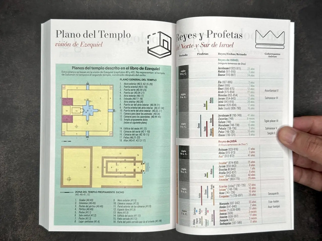 Biblia RVR60 Tamaño Manual - ECO paperback lila diseño