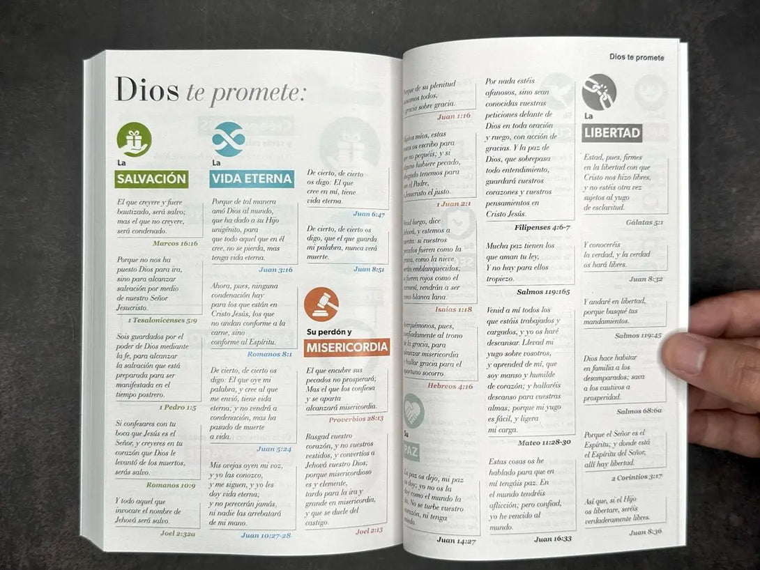 Biblia RVR60 Tamaño Manual - ECO paperback marrón diseño
