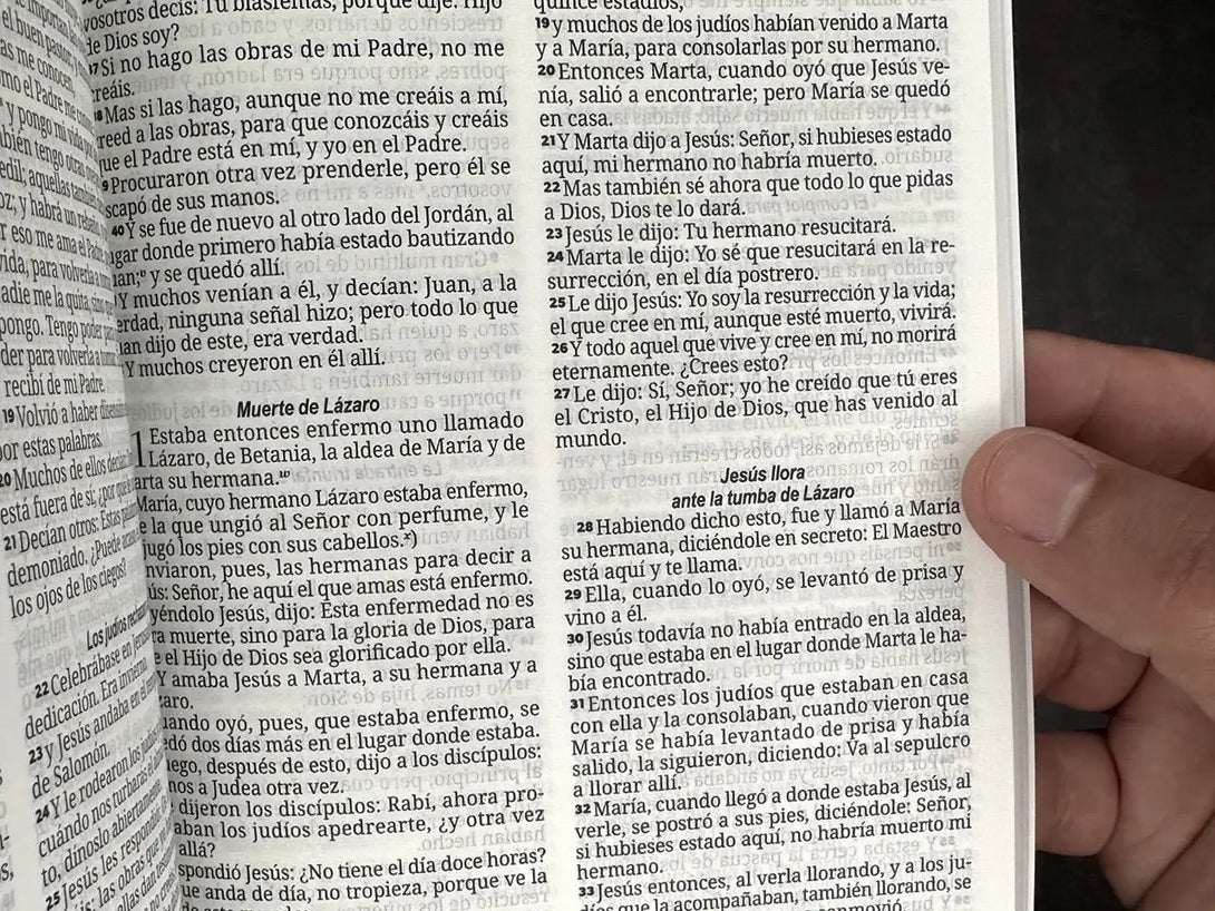 Biblia RVR60 Tamaño Manual - ECO paperback rosa diseño flor