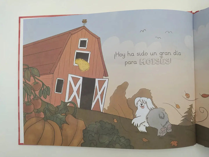 La fe y la oración - Libros infantiles las aventuras del