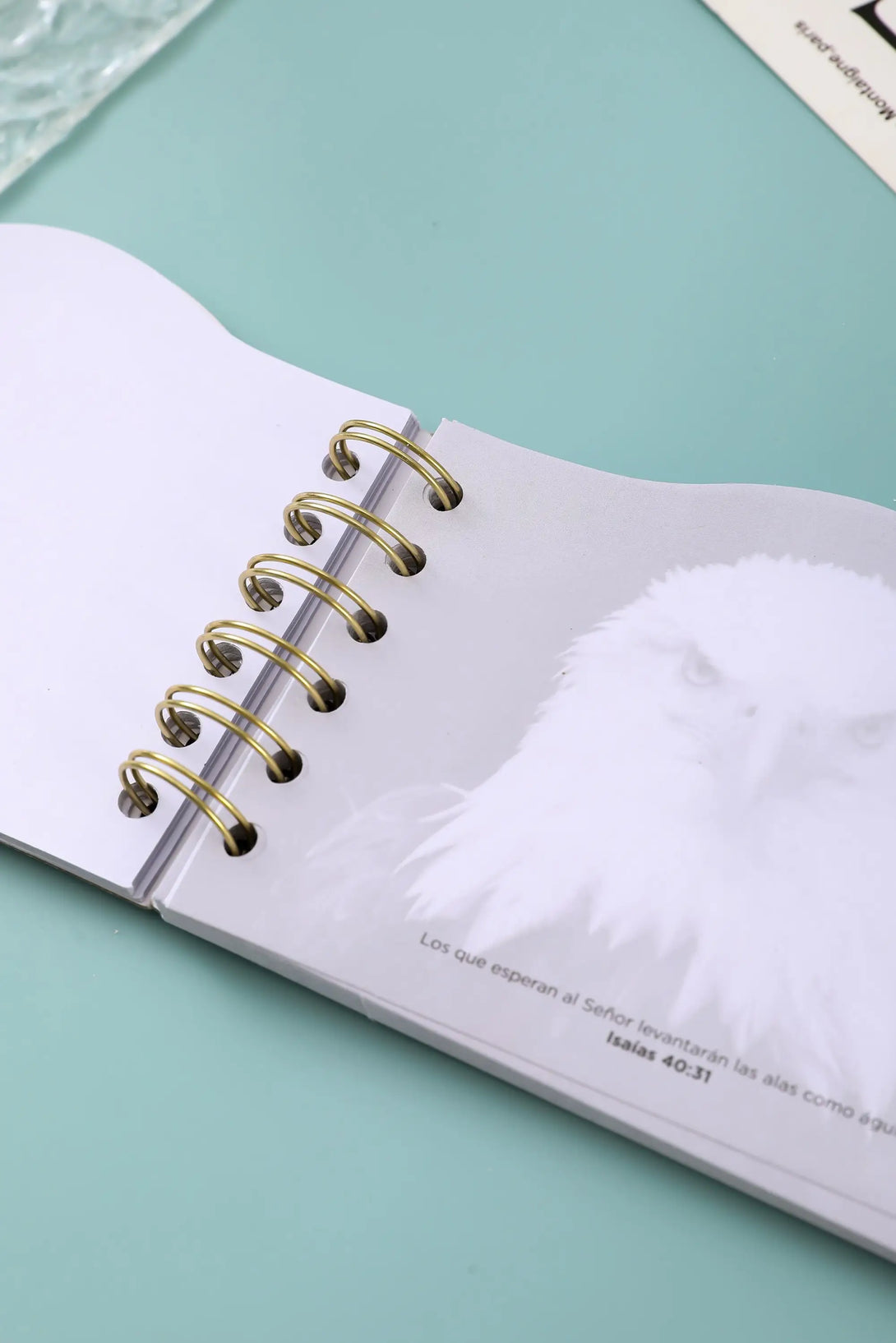 Libreta troquelada Águila